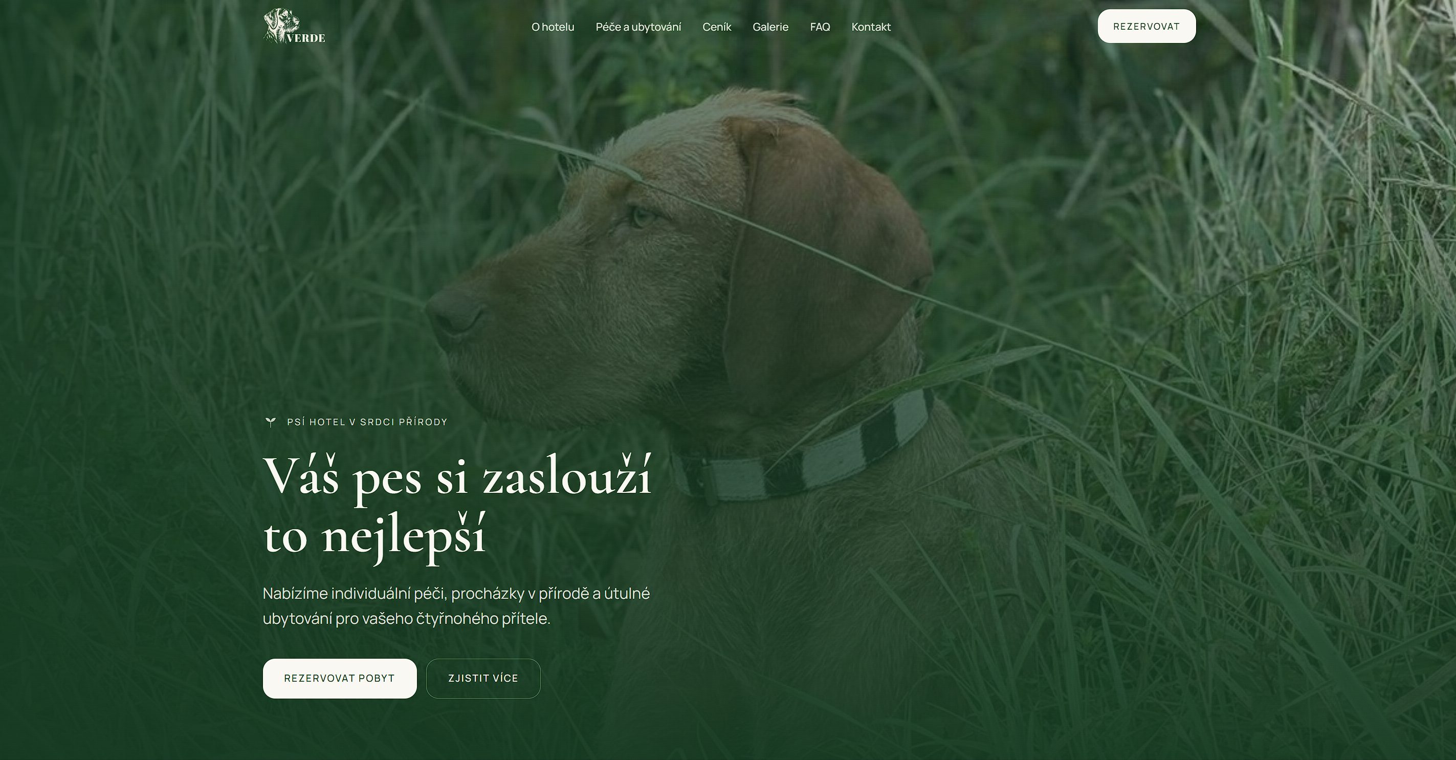 Verde Home