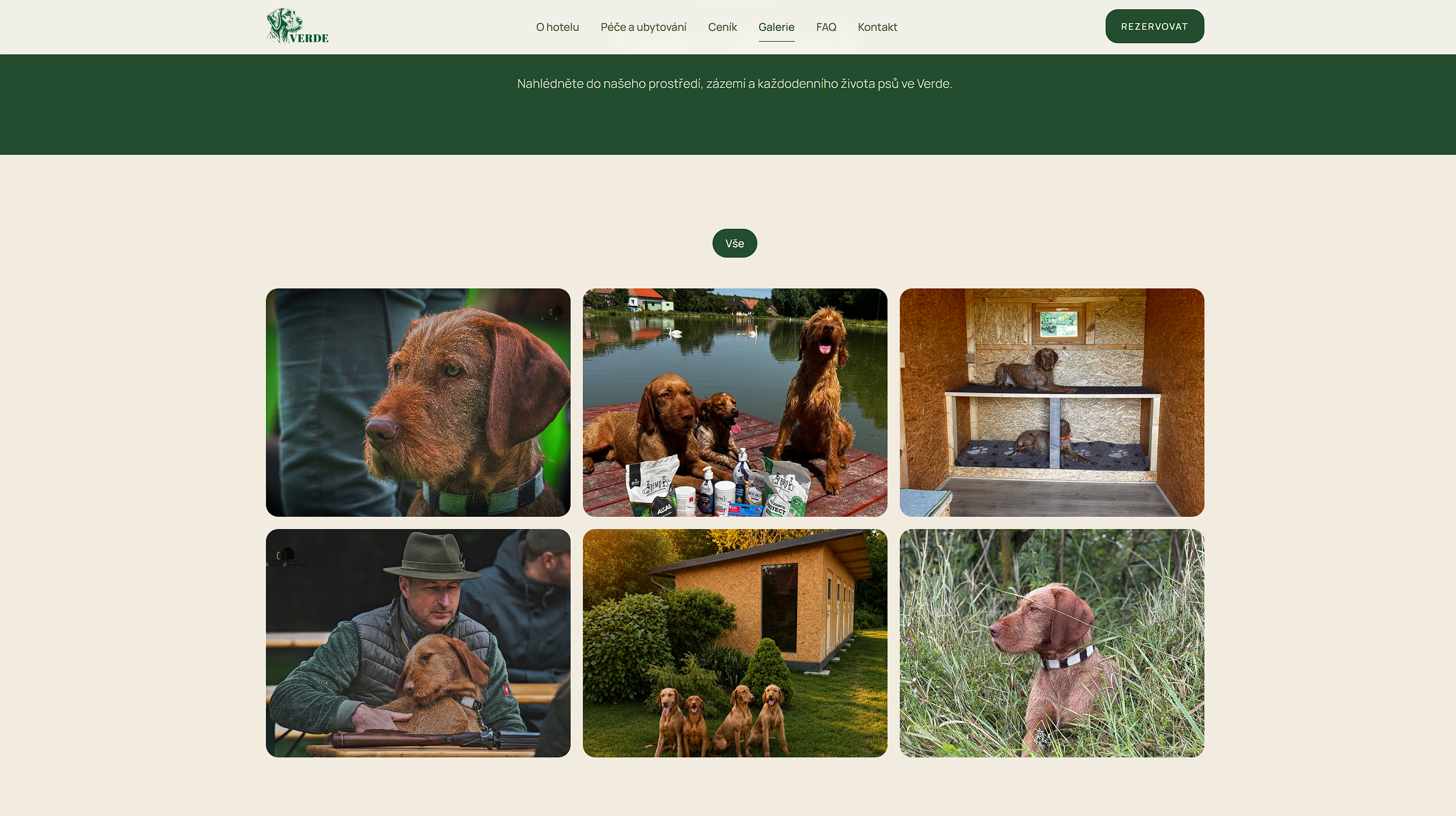 Verde Home